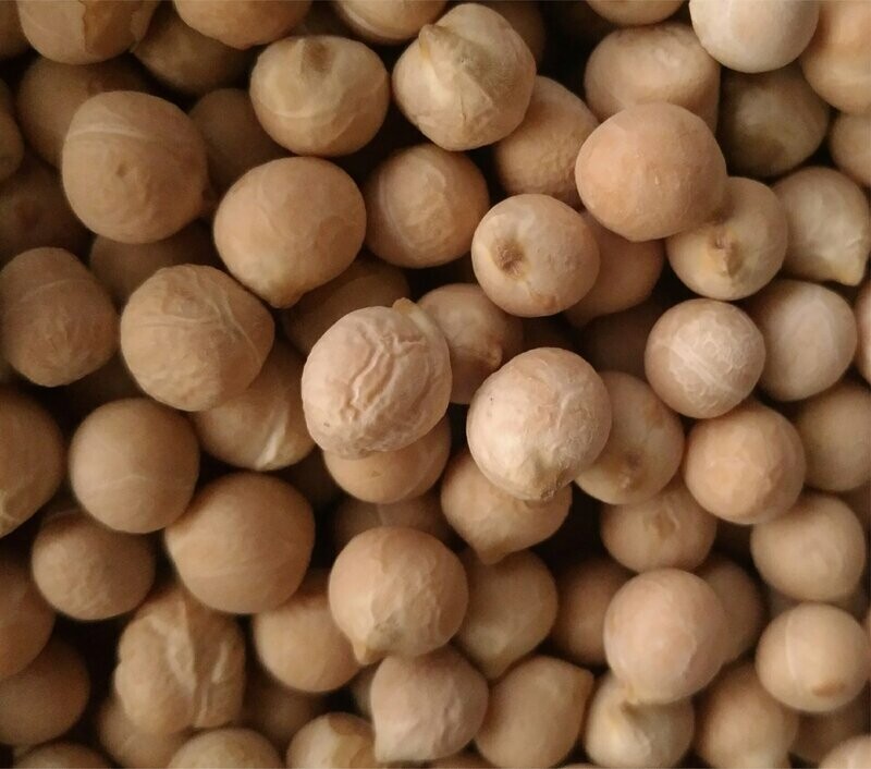 Pois chiches blanc BIO 500g