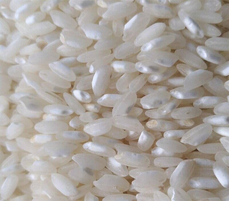 Riz blanc Arborio BIO 200g  (pour risotto)