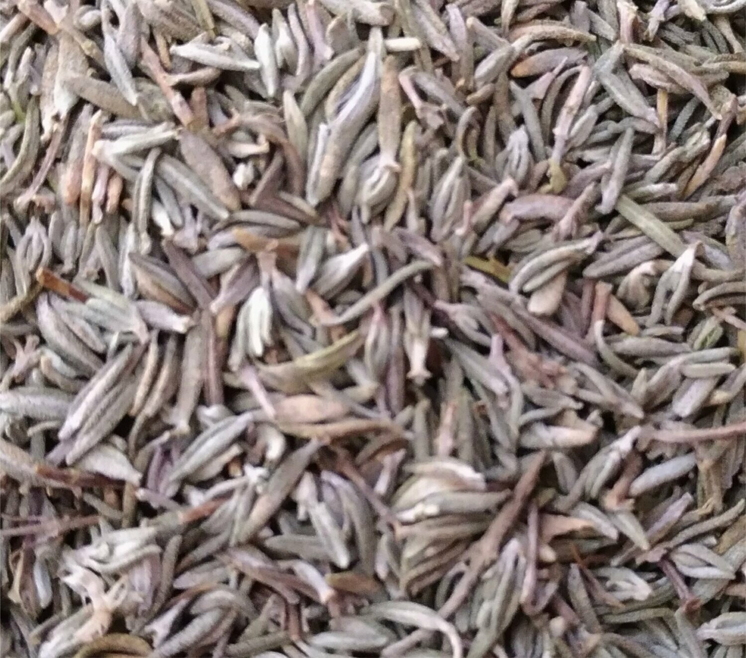 Thym de provence BIO 50g