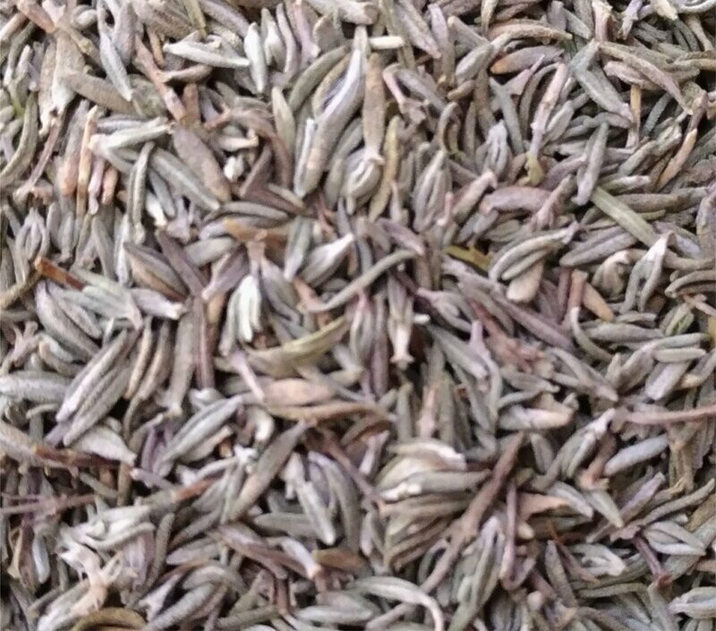 Thym de provence BIO 50g