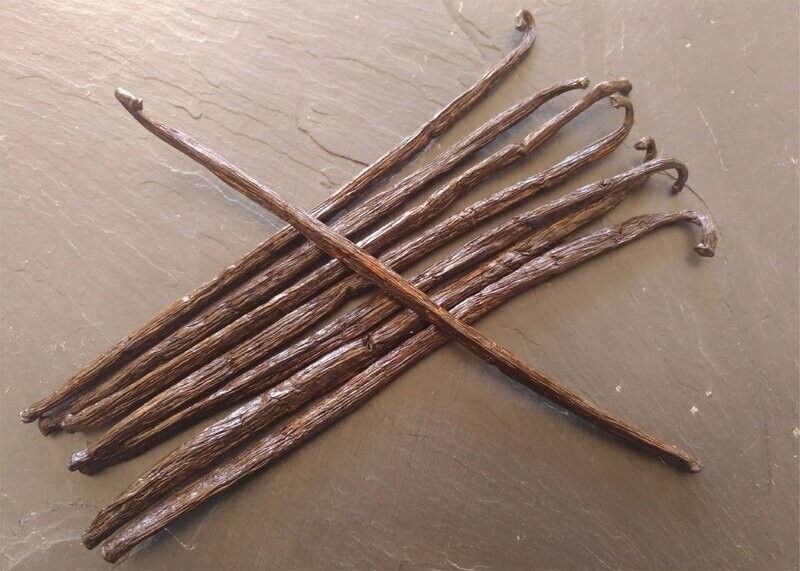 Gousse de vanille Bourbon de Madagascar 16 à 20 cm (à l'unité)