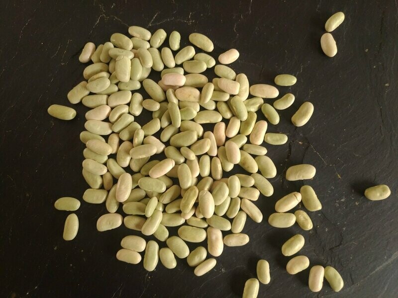 Flageolets BIO 500g