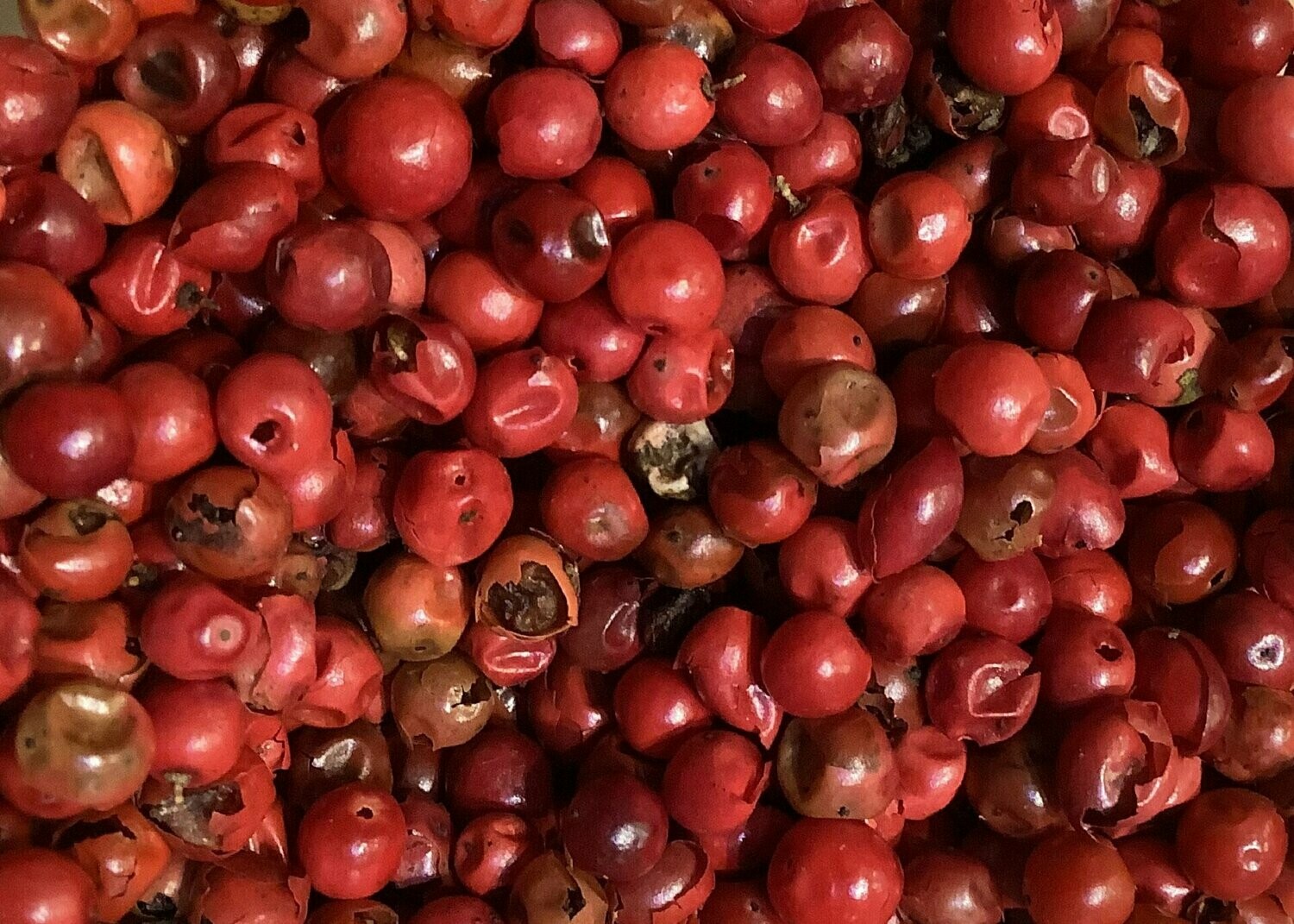Baies Roses BIO 50g