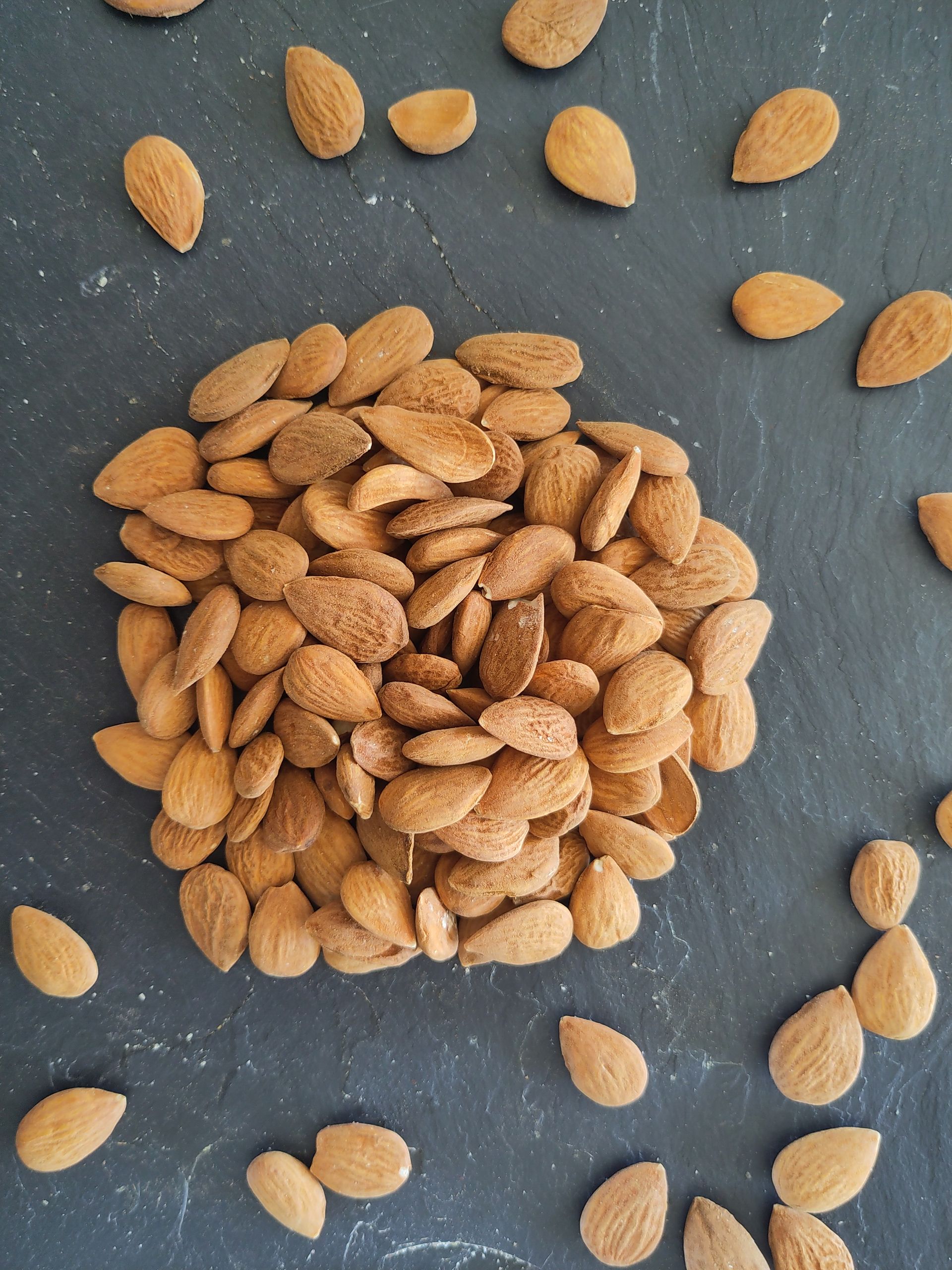 Amandes Grillées BIO 100g