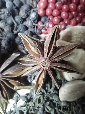 Arômates,  épices et herbes de cuisine
