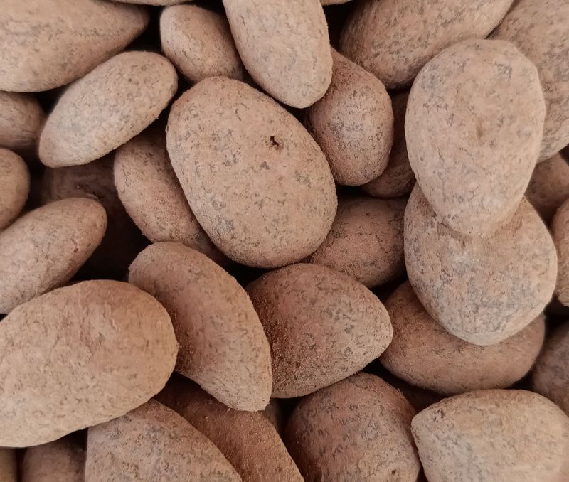 Amandes Caramel Chocolat Noir BIO 100g