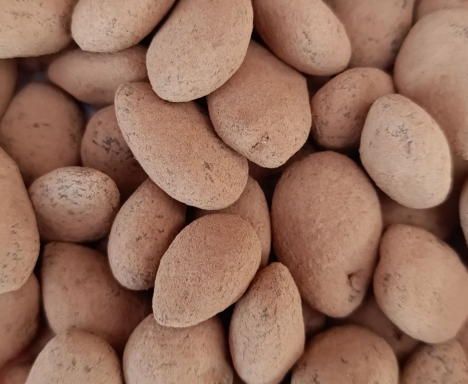 Amandes Caramel Fleur de Sel et Chocolat au Lait - BIO - 100g