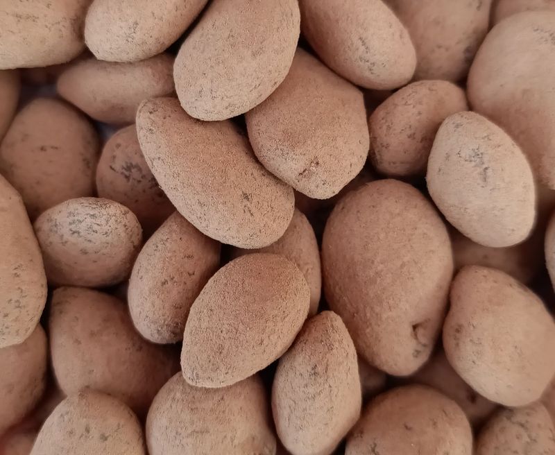 Amandes Caramel Fleur de Sel et Chocolat au Lait - BIO - 100g