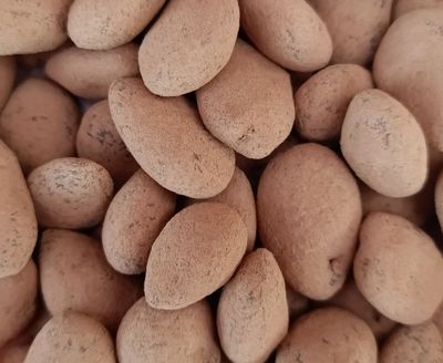 Amandes Caramel Fleur de Sel et Chocolat au Lait - BIO - 100g