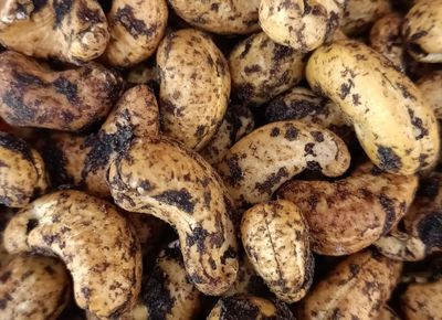 Cajou Ail Noir de la Drôme - BIO - 100g