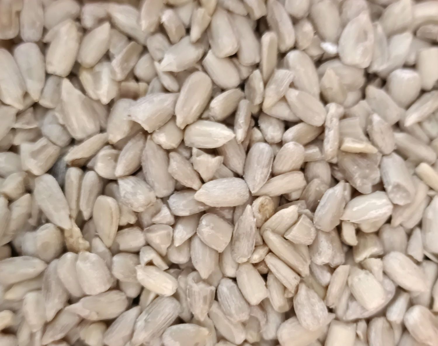 Graines de tournesol décortiquées BIO 100g