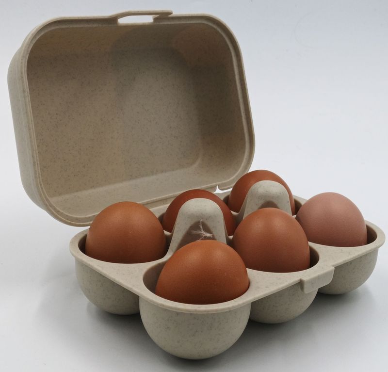 Boîte BEIGE 6 oeufs (en bioplastique) + 6 oeufs offerts