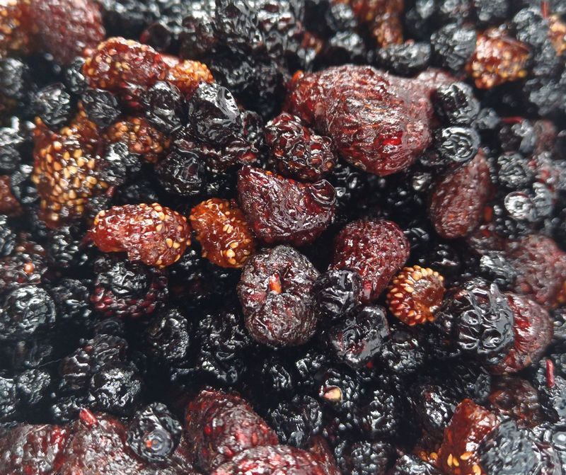 Mix superfruits rouges BIO 100g