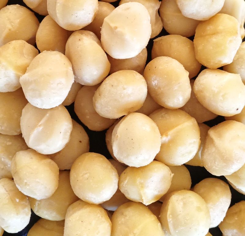 Noix de Macadamia Entière - BIO - 100g