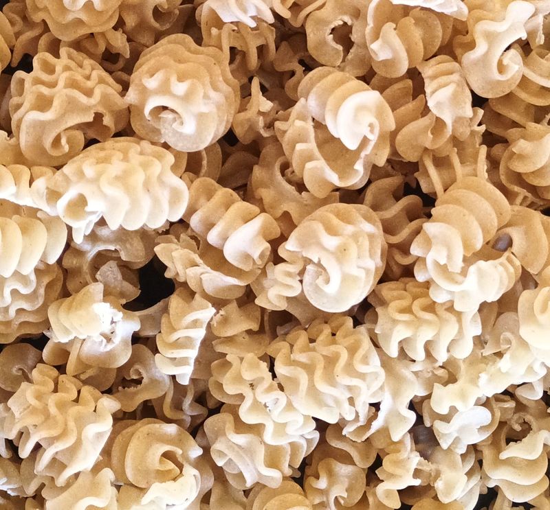 Pâtes - RADIATORI - farine meule de pierre 500g