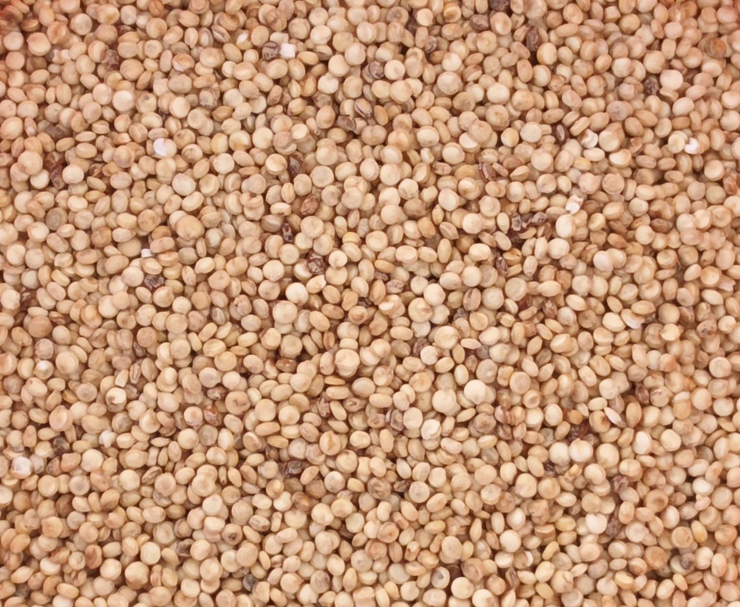 Quinoa blanc BIO 500g