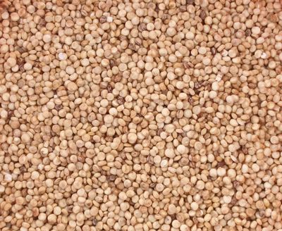 Quinoa blanc BIO 500g