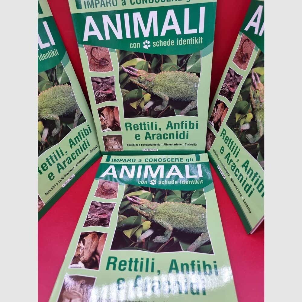 Albo da Colorare "Imparo a conoscere gli animali - Rettili Anfibi e  Aracnidi​" - I.D.E.A.