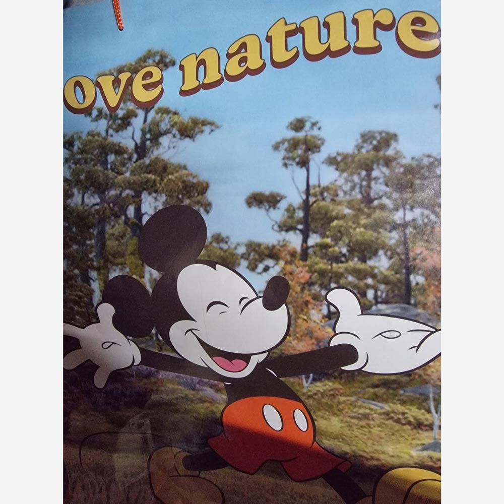 Shopper Topolino con 11 regali  - (5 pezzi)
