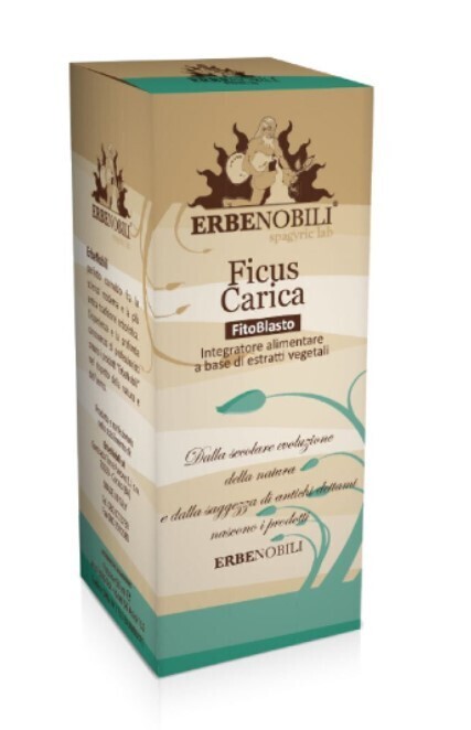 Ficus Carica (figovec) – gemoderivat, prehransko dopolnilo
