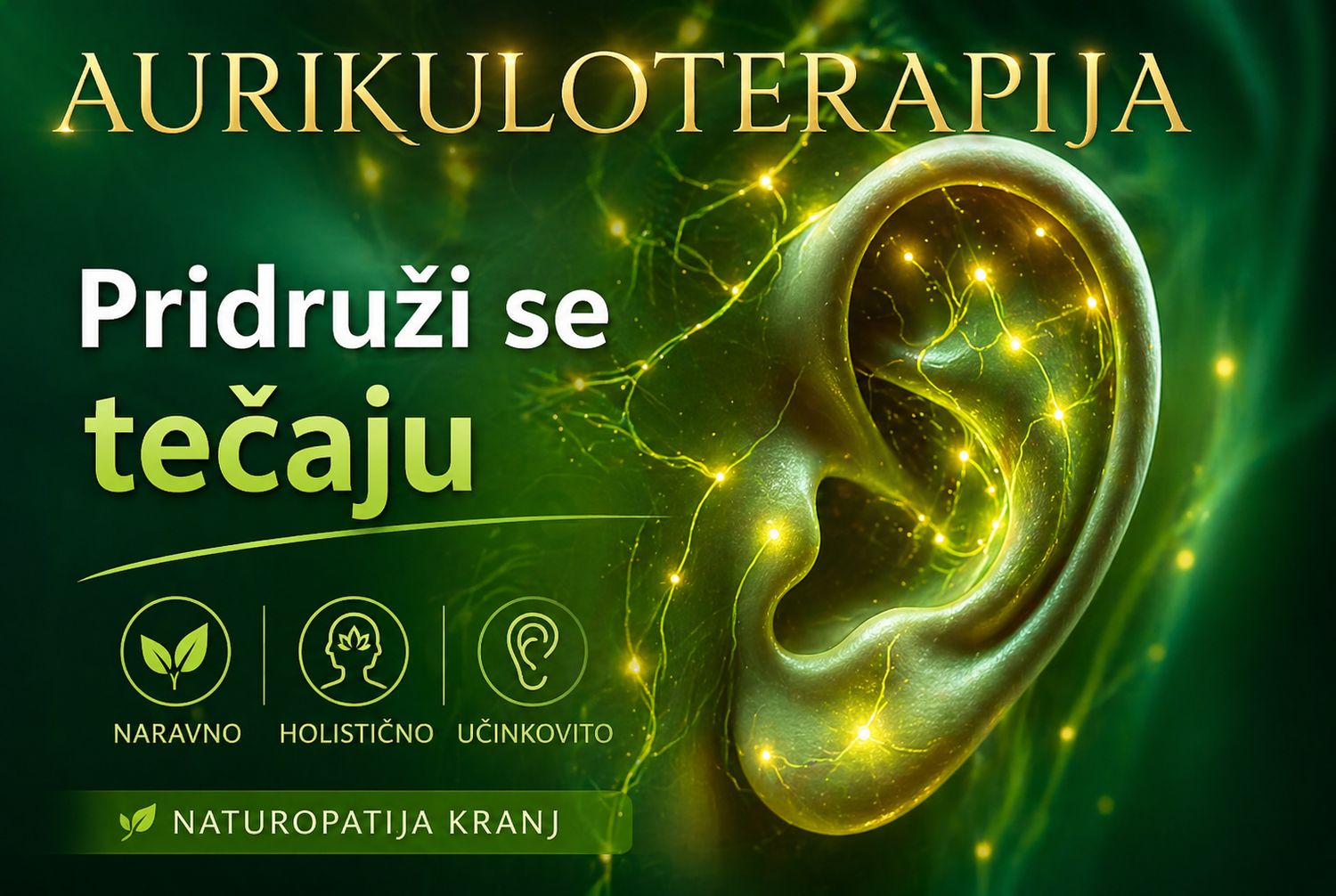 Delavnica s praktičnim delom Aurikuloterapija