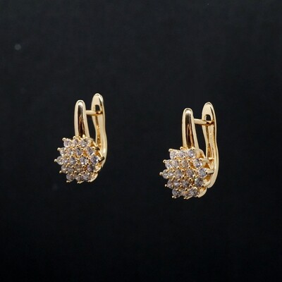 Stella X - Swarovski Crystal Drop Earrings
