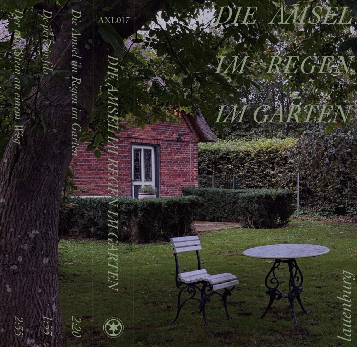 LAUENBURG - DIE AMSEL IM REGEN IM GARTEN