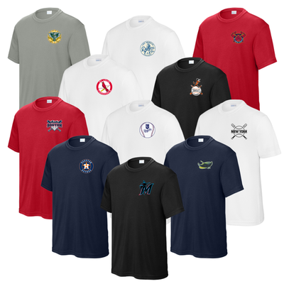 DOUBLE AA PLAYER ALTERNATIVE JERSEY