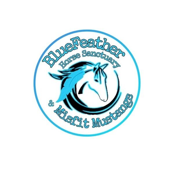 Blue Feather Store