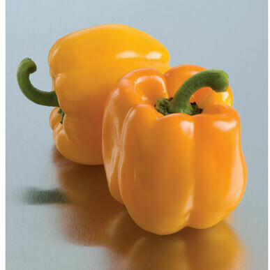 Pepper- Sweet Sunrise Pepper- Sweet Sunrise