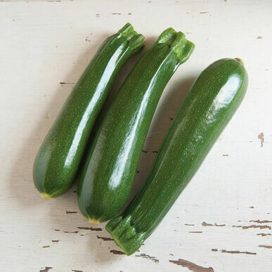 Zucchini-Dunja Zucchini-Dunja