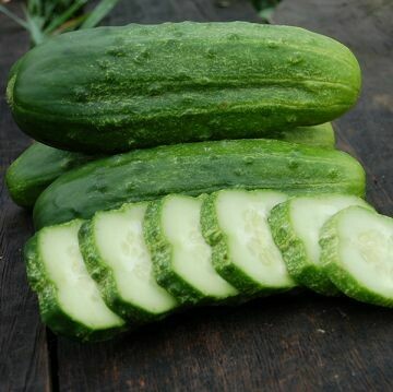 Cucumber- National Pickling Cucumber- National Pickling