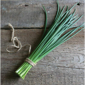 Chives- Staro Chives- Staro