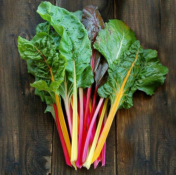 Swiss chard- Improved Rainbow Blend Swiss chard- Improved Rainbow Blend