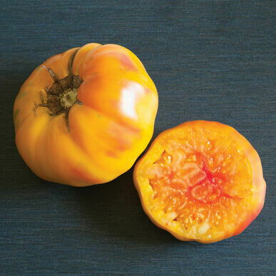 Tomato- Striped German Tomato- Striped German