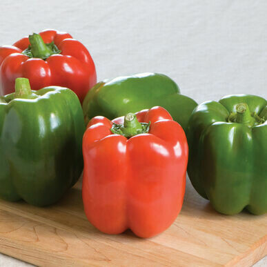 Pepper- Olympus F1 Pepper- Olympus F1