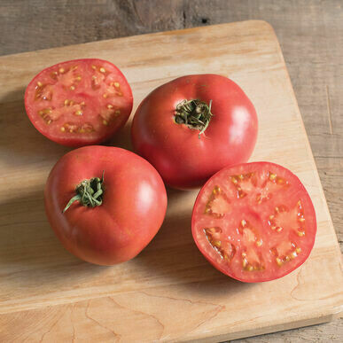 Tomato- Damsel F1 Tomato- Damsel F1