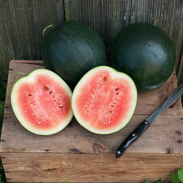 Watermelon- Sugar Baby Watermelon- Sugar Baby