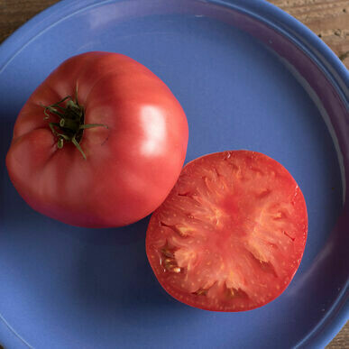 Tomato- Brandywine Tomato- Brandywine