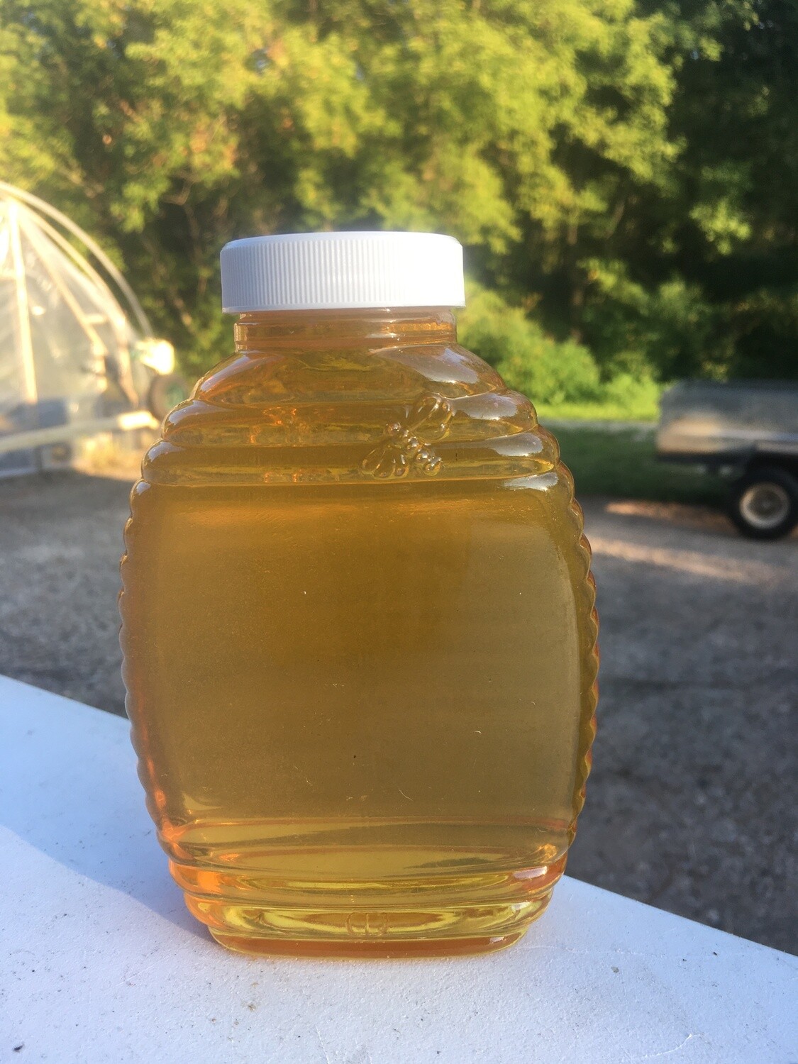 Honey Honey