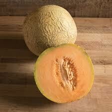 Melon- Divergent F1 Melon- Divergent F1