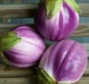 Eggplant- Rosa Bianca Eggplant- Rosa Bianca