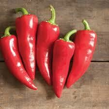 Pepper- Flaming Flare F1 Pepper- Flaming Flare F1