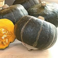 Winter Squash- Bon Bon F1 Buttercup Winter Squash- Bon Bon F1 Buttercup