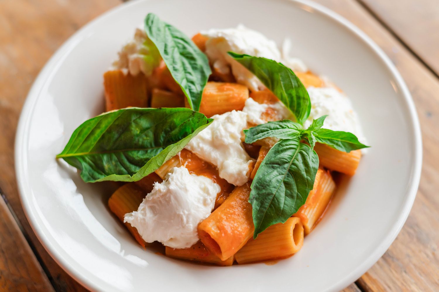 Rigatoni + Vodka Sauce