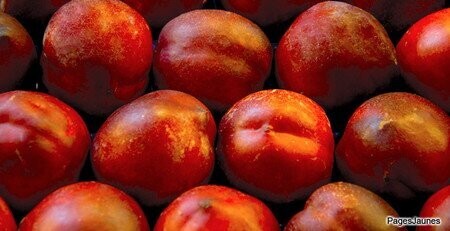1 Kg de nectarine