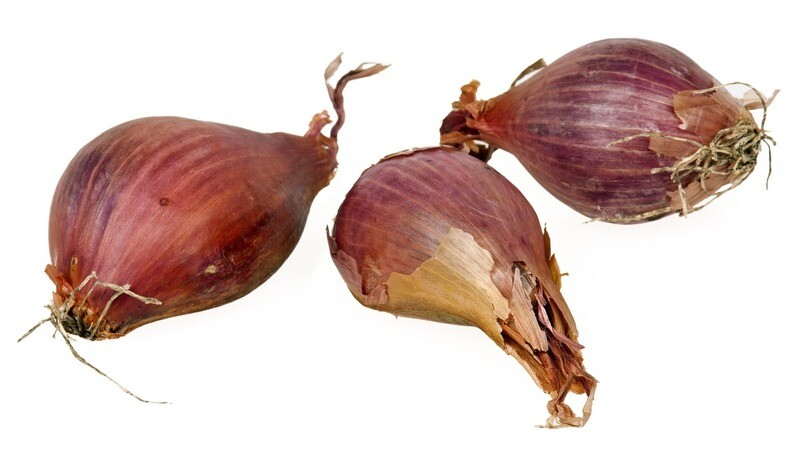 0.500 Kg d’Échalotes