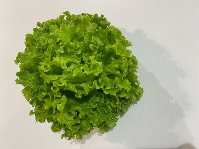1 salade Batavia