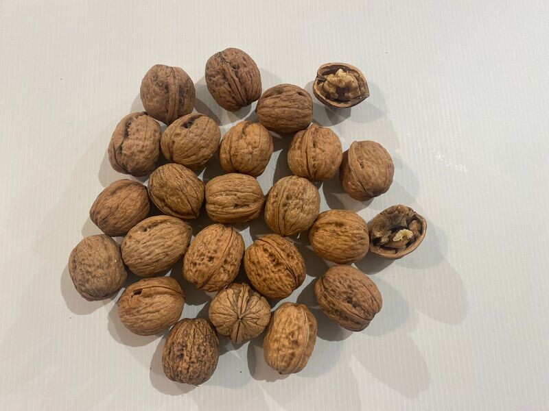 0.500 Kg de noix fraîches