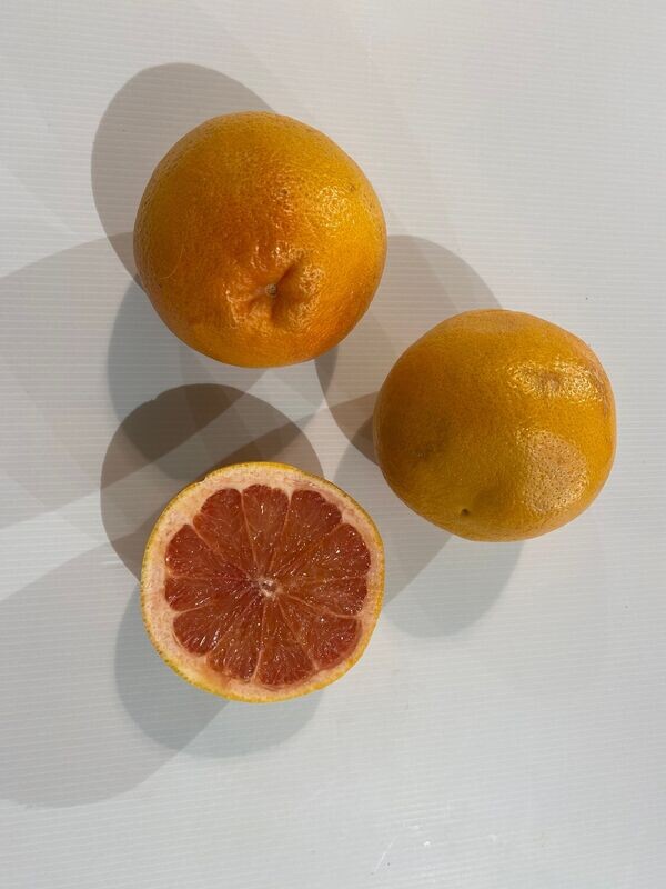 1 Pamplemousse ( gros calibre )